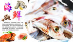 海鲜海报
