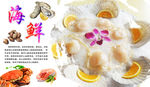 扇贝海报