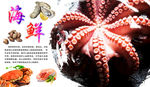 八爪鱼海报
