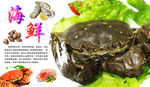 青蟹海报