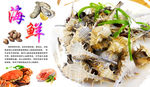 海螺海报