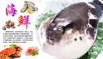 海鲜海报