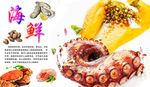 八爪鱼