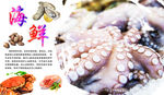 八爪鱼
