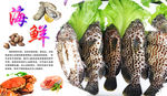 海鲜鱼