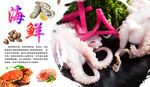 八爪鱼