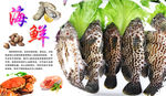 生鲜海报