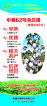 棉花