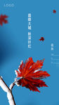 二十四节气-霜降