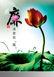 莲花