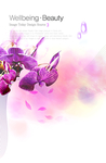 淡雅背景 韩式花纹 唯美淡雅花
