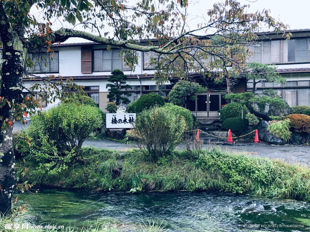 日本
