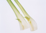 蔬菜