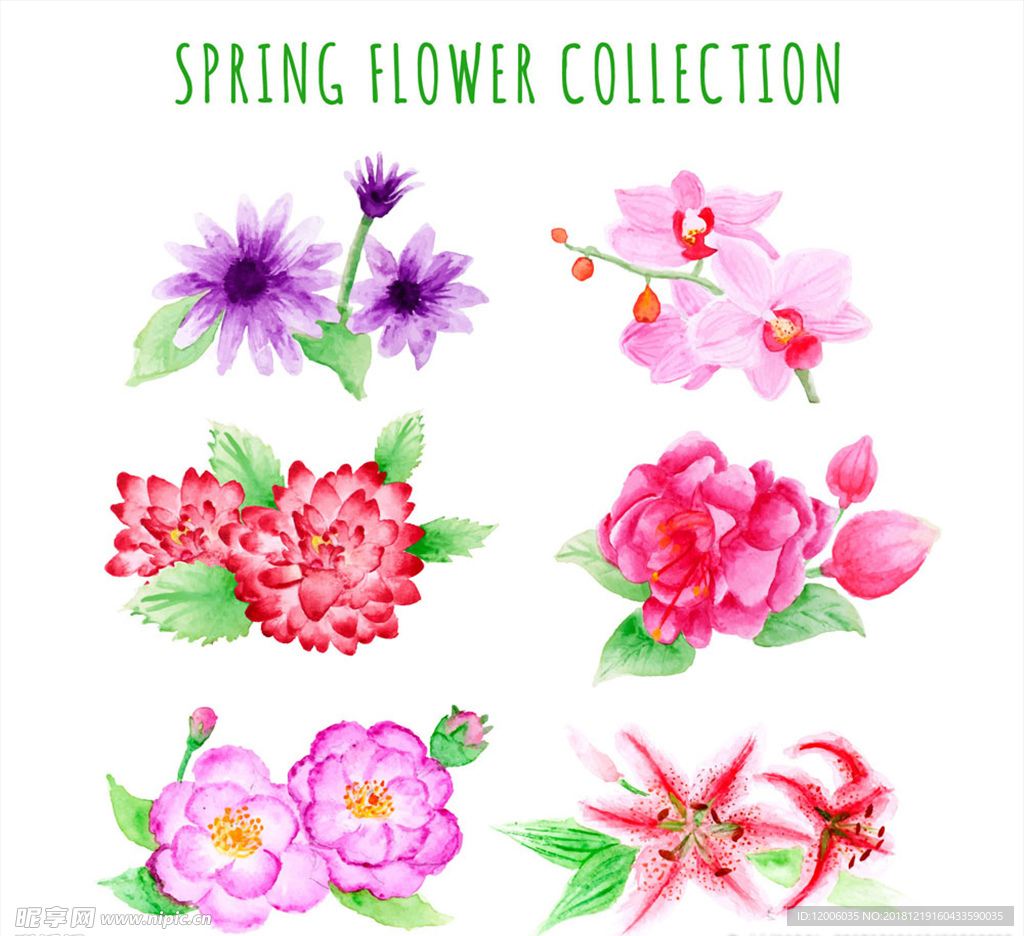 6款彩绘春季花卉矢量素材