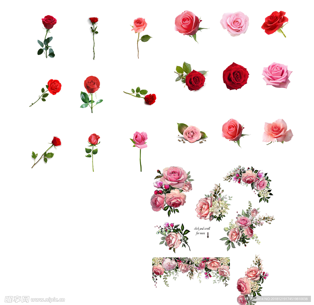玫瑰花