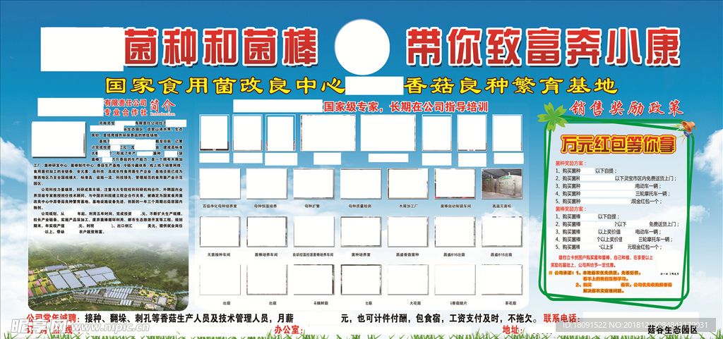 香菇基地 简介 照片 招聘