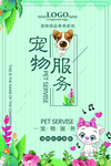 宠物广告