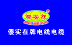 傻实在电线