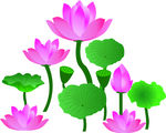 2019年画莲花卡通手绘