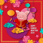 2019年