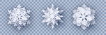 雪花