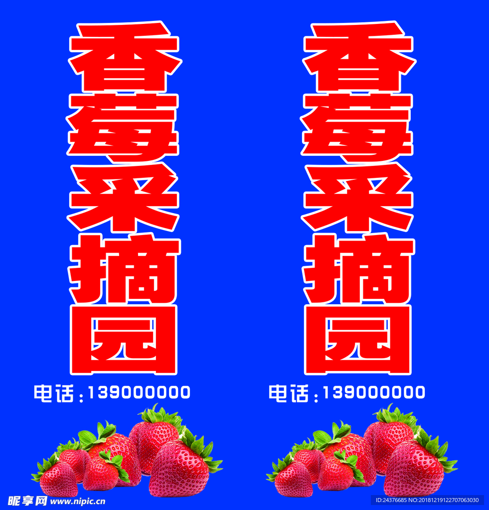草莓采摘