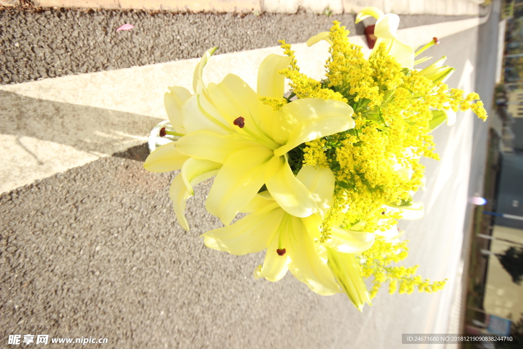 百合花