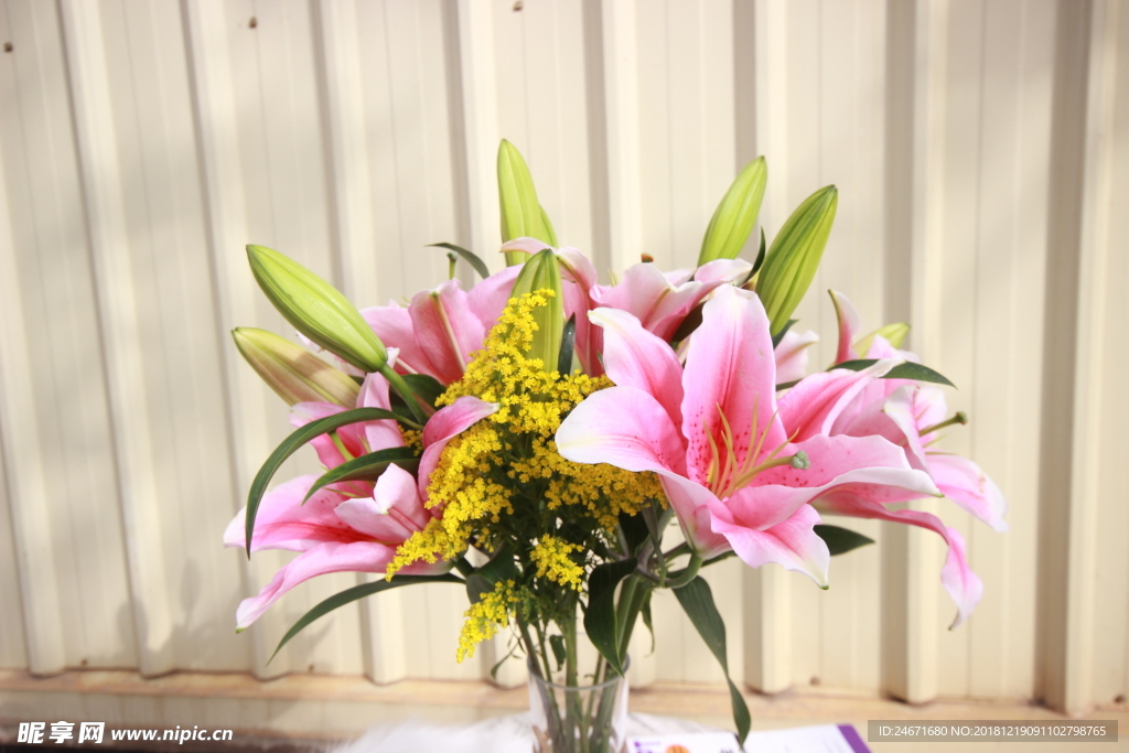 百合花