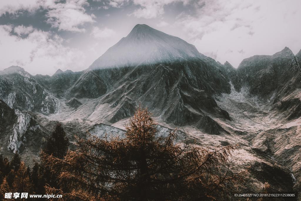 山