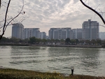 鱼浪浪