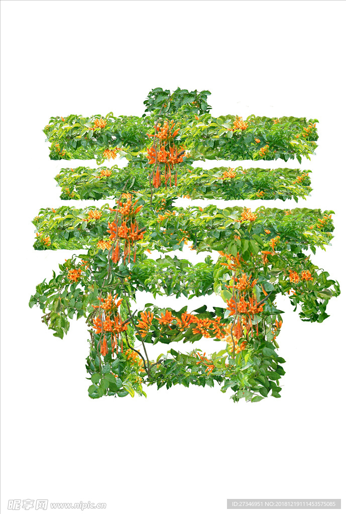 春天   花草  字体设计