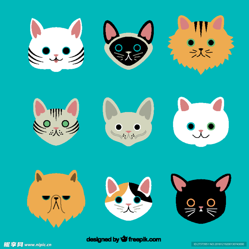 宠物猫插图