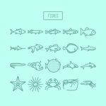 海洋生物插图