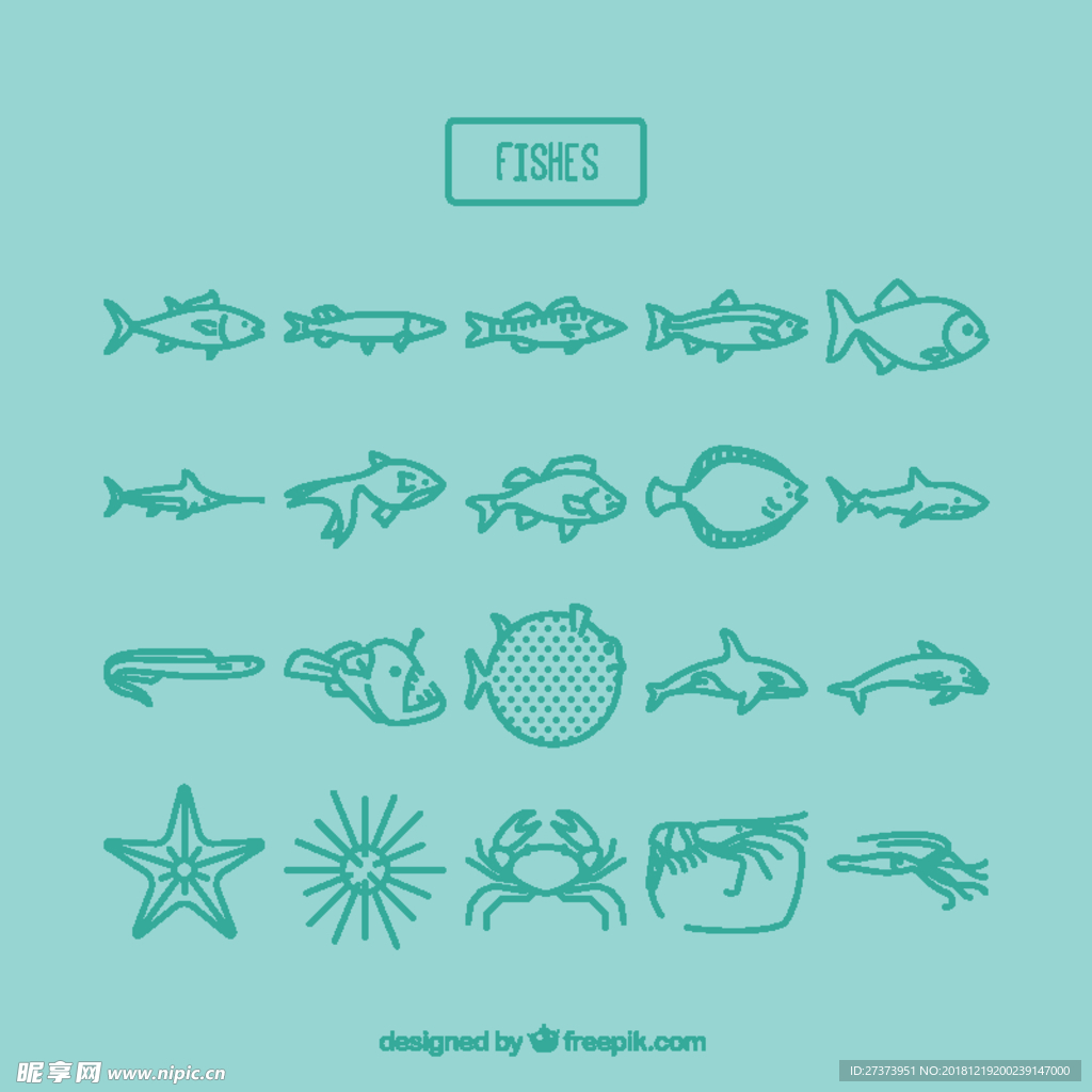 海洋生物插图