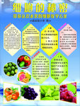 细胞的秘密