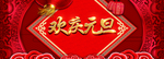 欢庆元旦