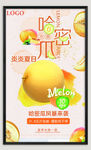新疆哈密瓜