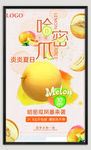 新疆哈密瓜