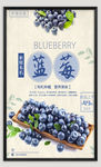 蓝莓采摘海报