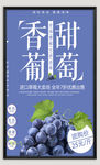 葡萄海报
