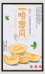 新疆哈密瓜海报