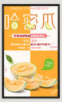 新疆哈密瓜