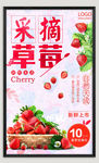 草莓海报