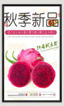 火龙果