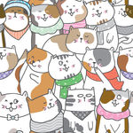 猫