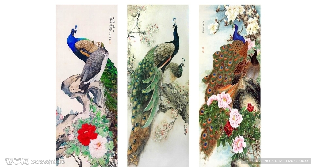 百鸟之王孔雀图