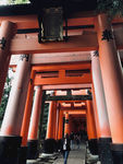 日本