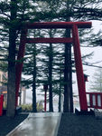 日本