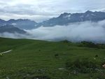 山