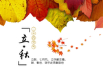 立秋